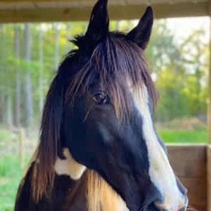 Meet your Posher, Mindy